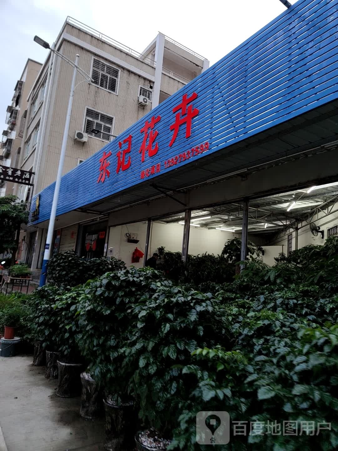 东记花卉