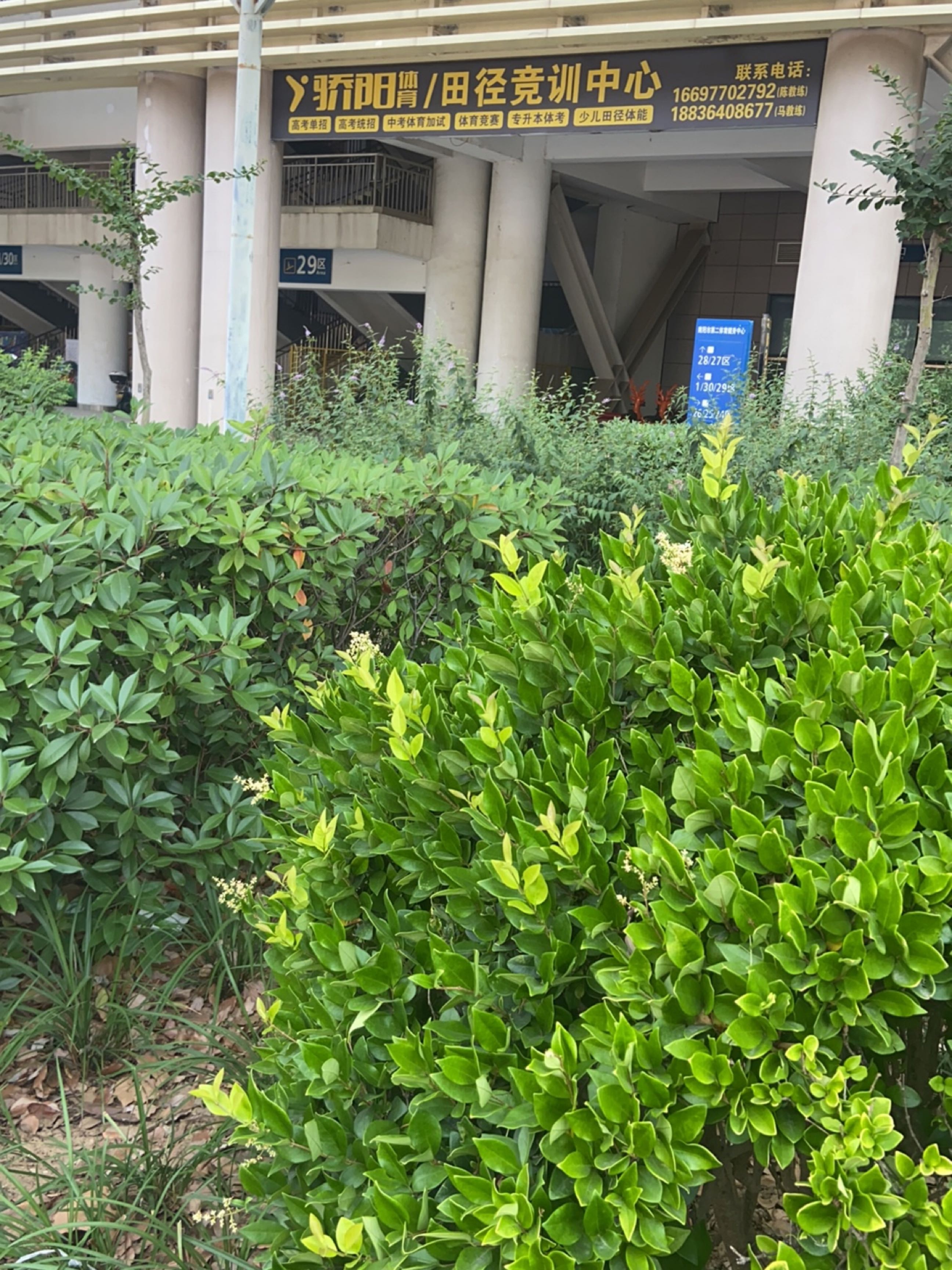 骄阳体育田径竞训中心