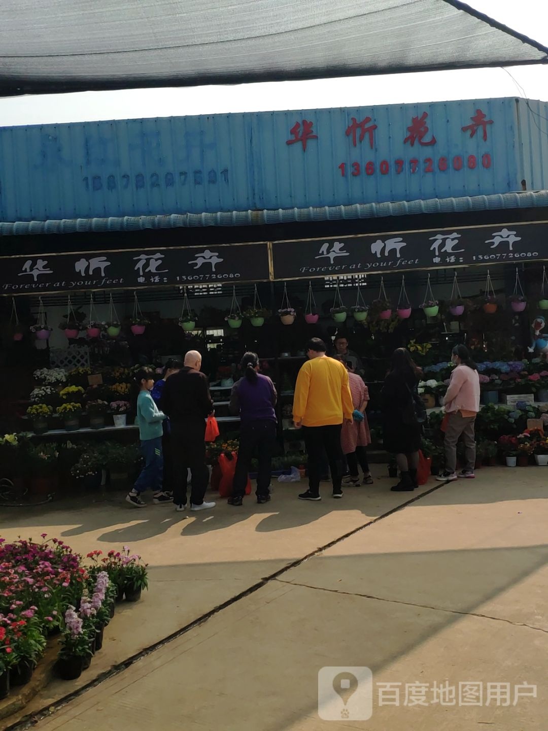 华忻花卉