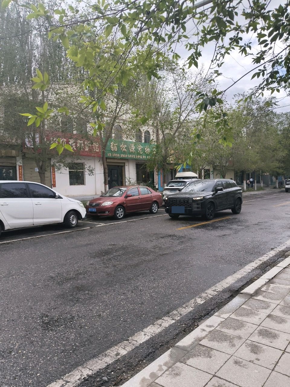 貊松源宠物店