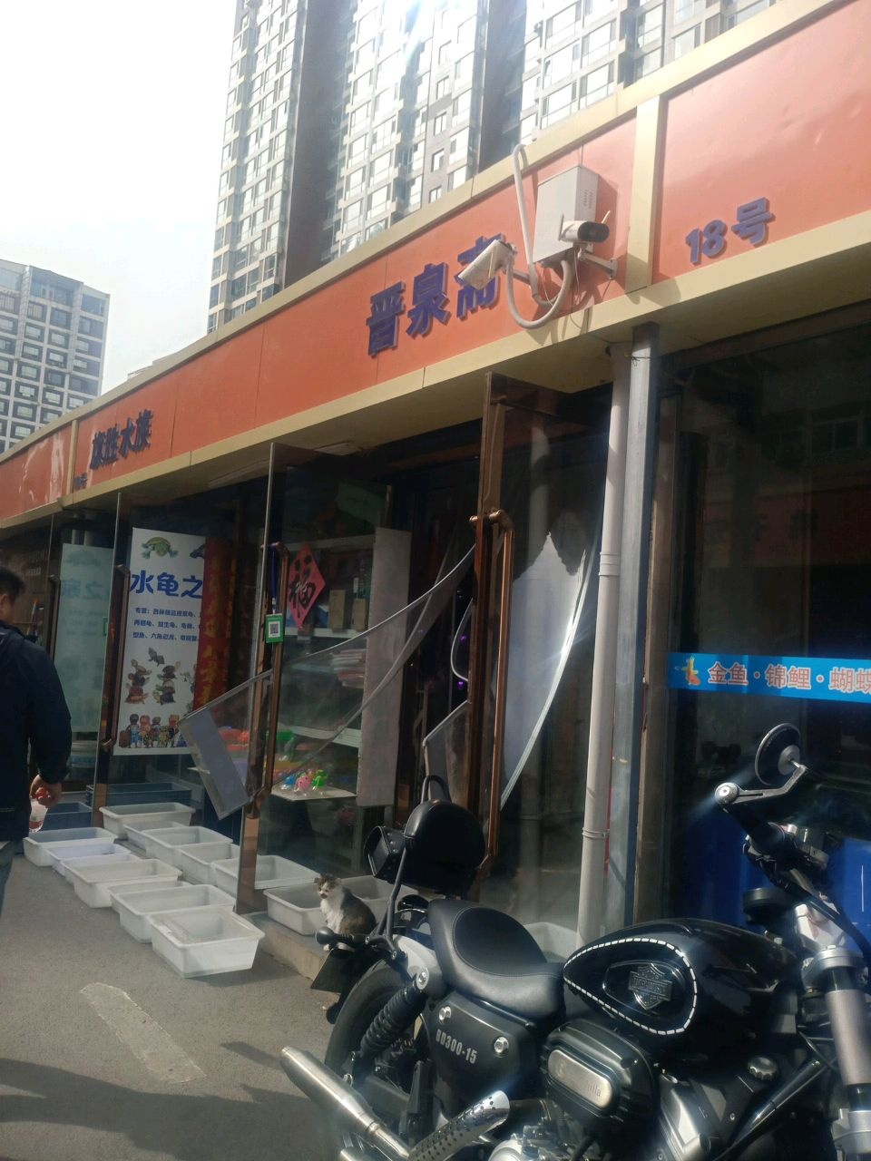 旗胜水族