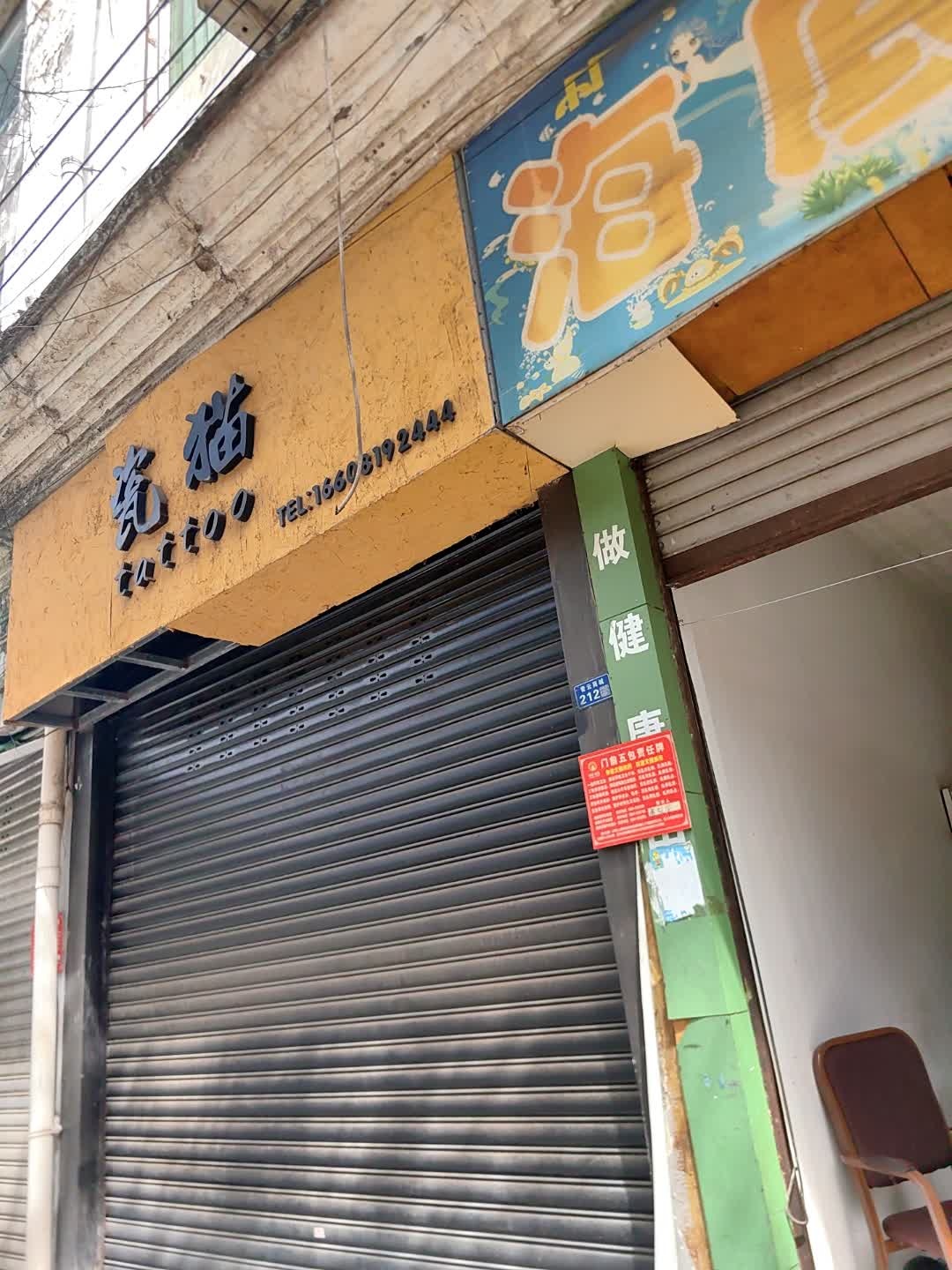 瓷猫tattoo