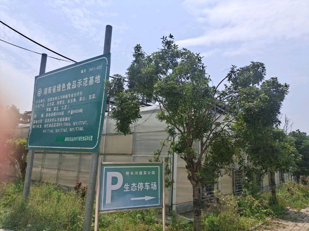 桥头河蔬菜公园