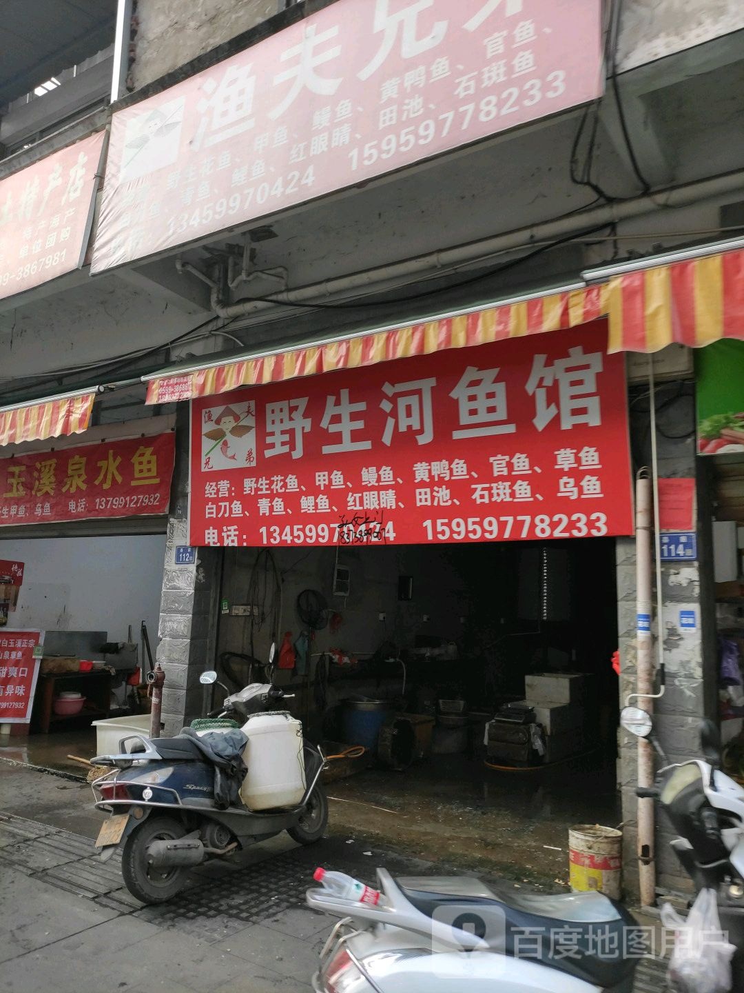野生河鲤鱼馆