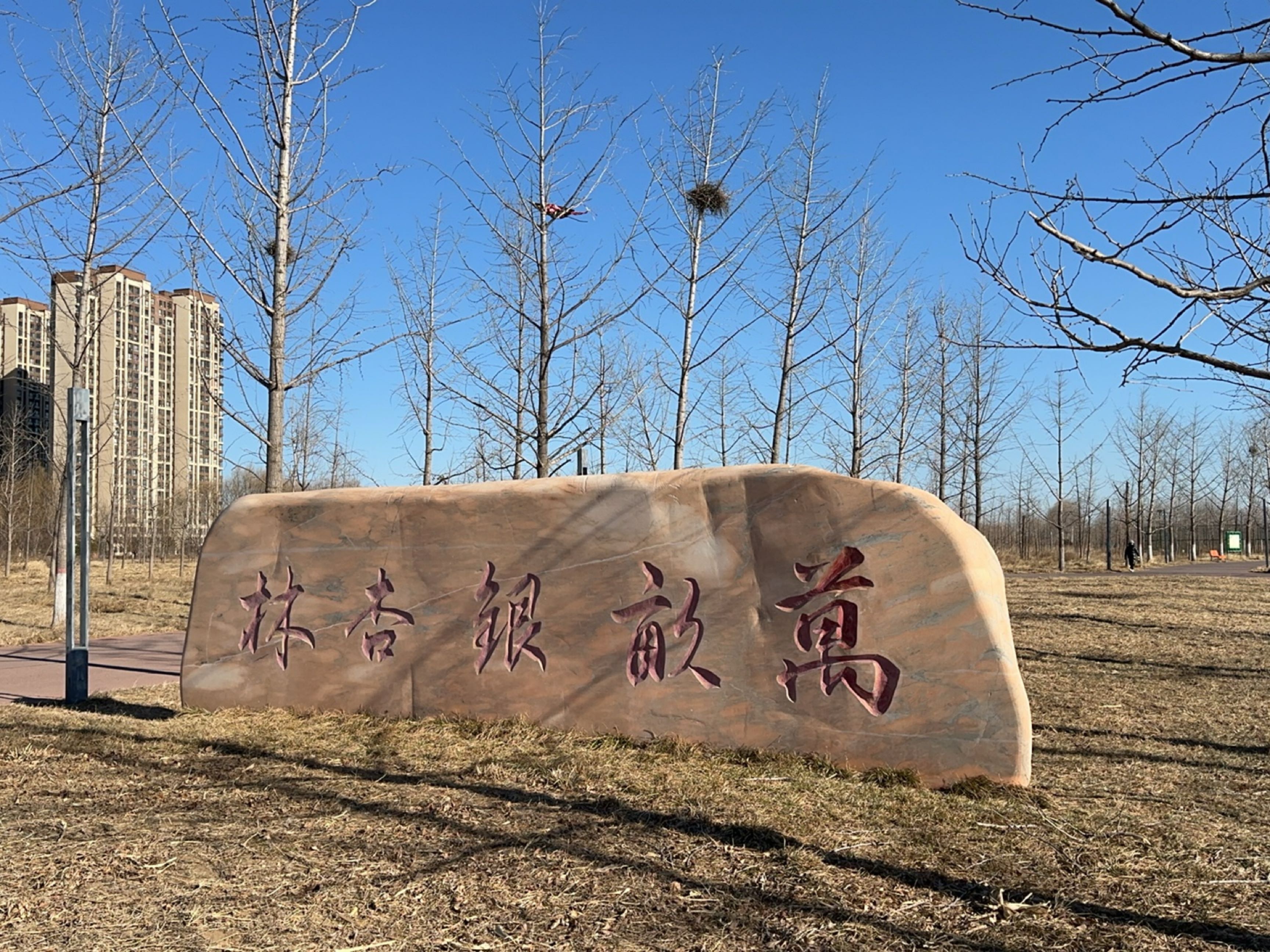 大厂银杏运动公园