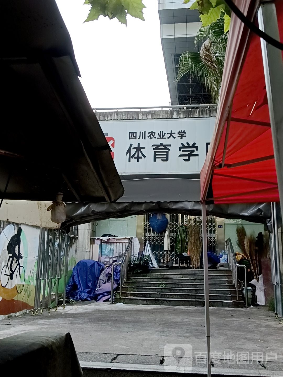 四川农业大学第一教学区-体育学院