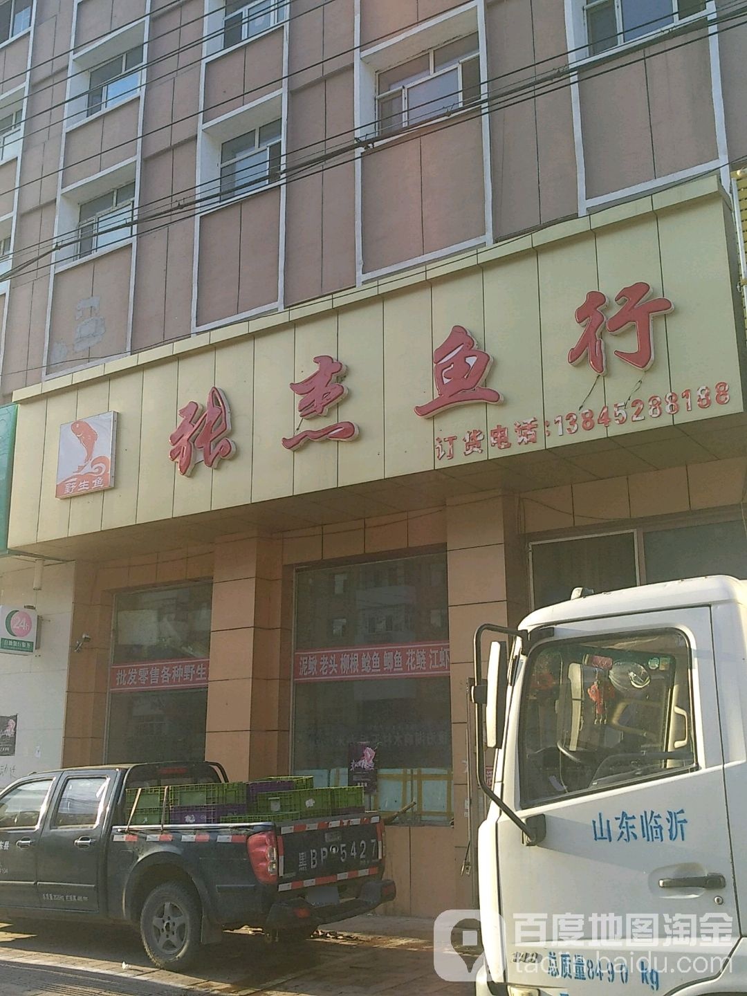 张杰鱼行