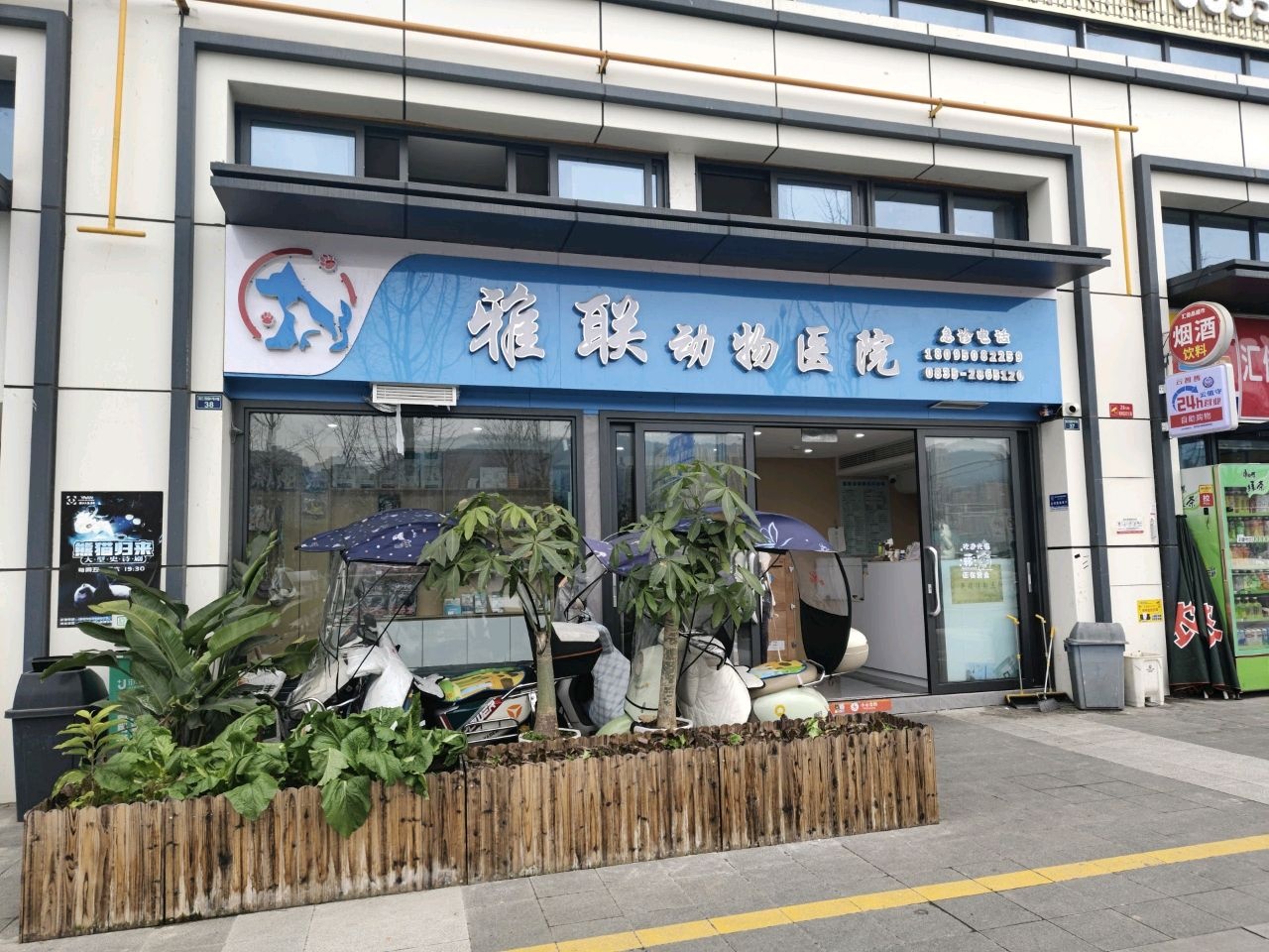 雅联动物医院