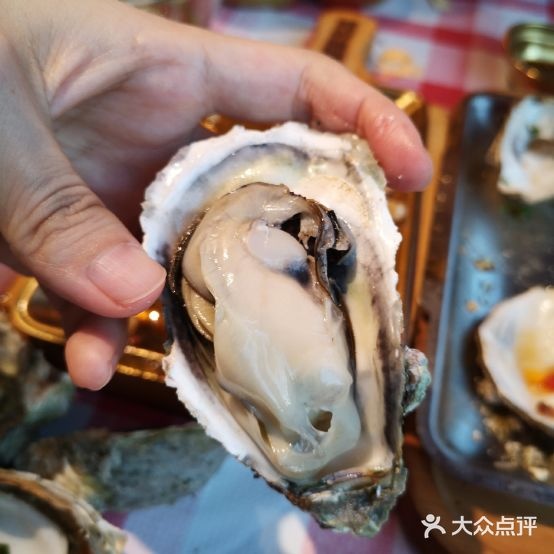 堕落蚝(新韶西店)