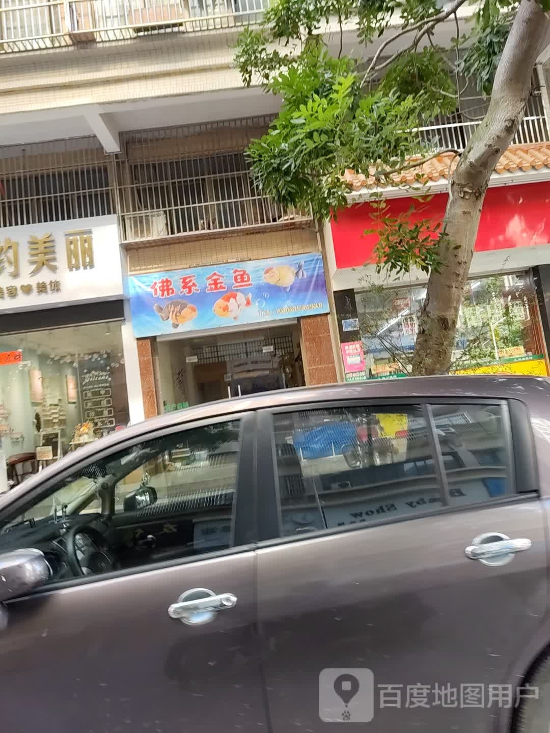 佛西金鱼(佳仕苑店)