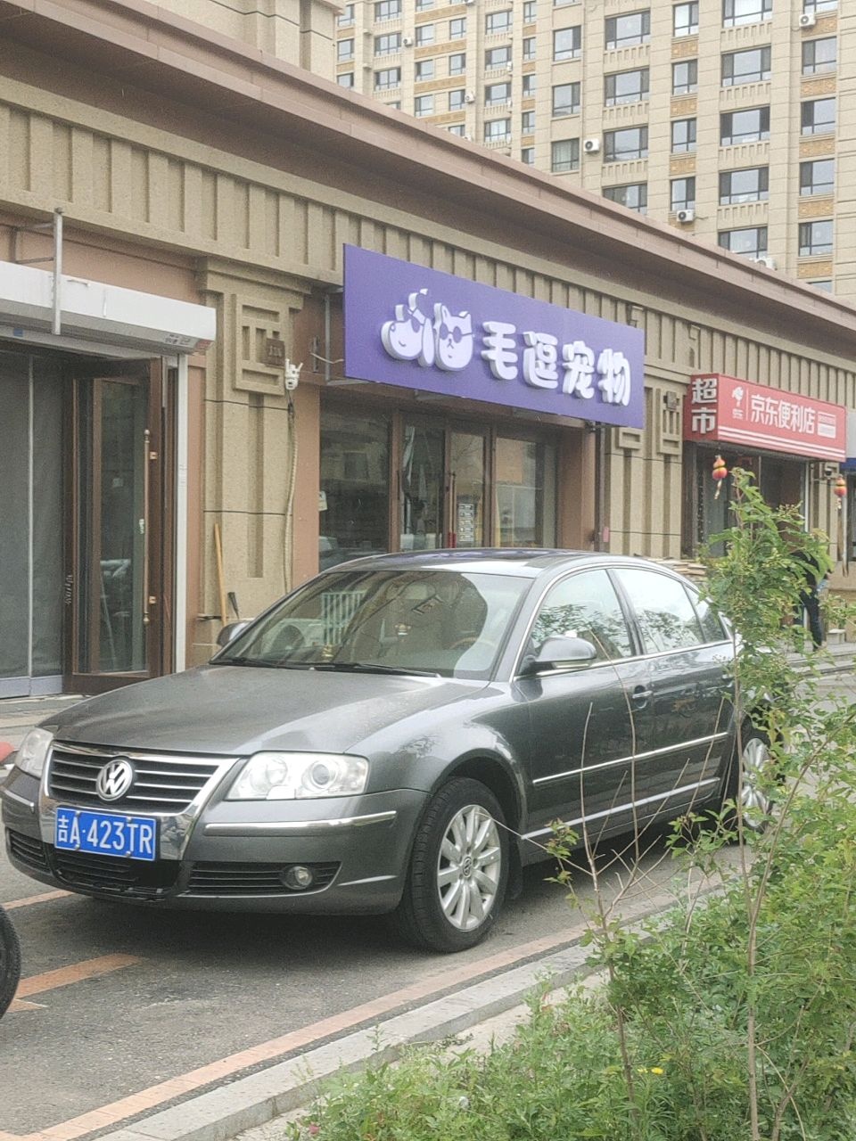 毛逗宠物