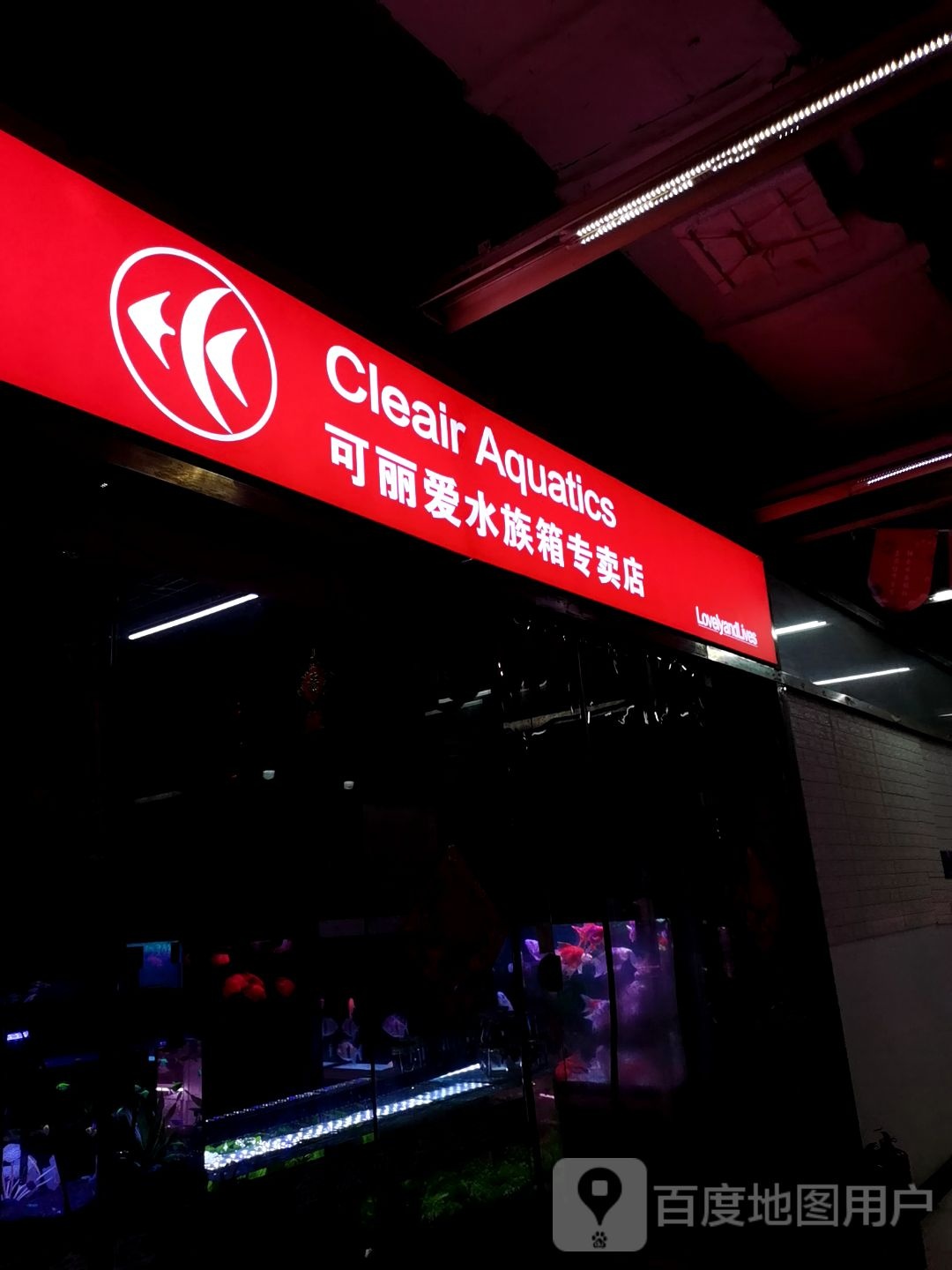 丽扁陕可眢爱水族箱专卖店