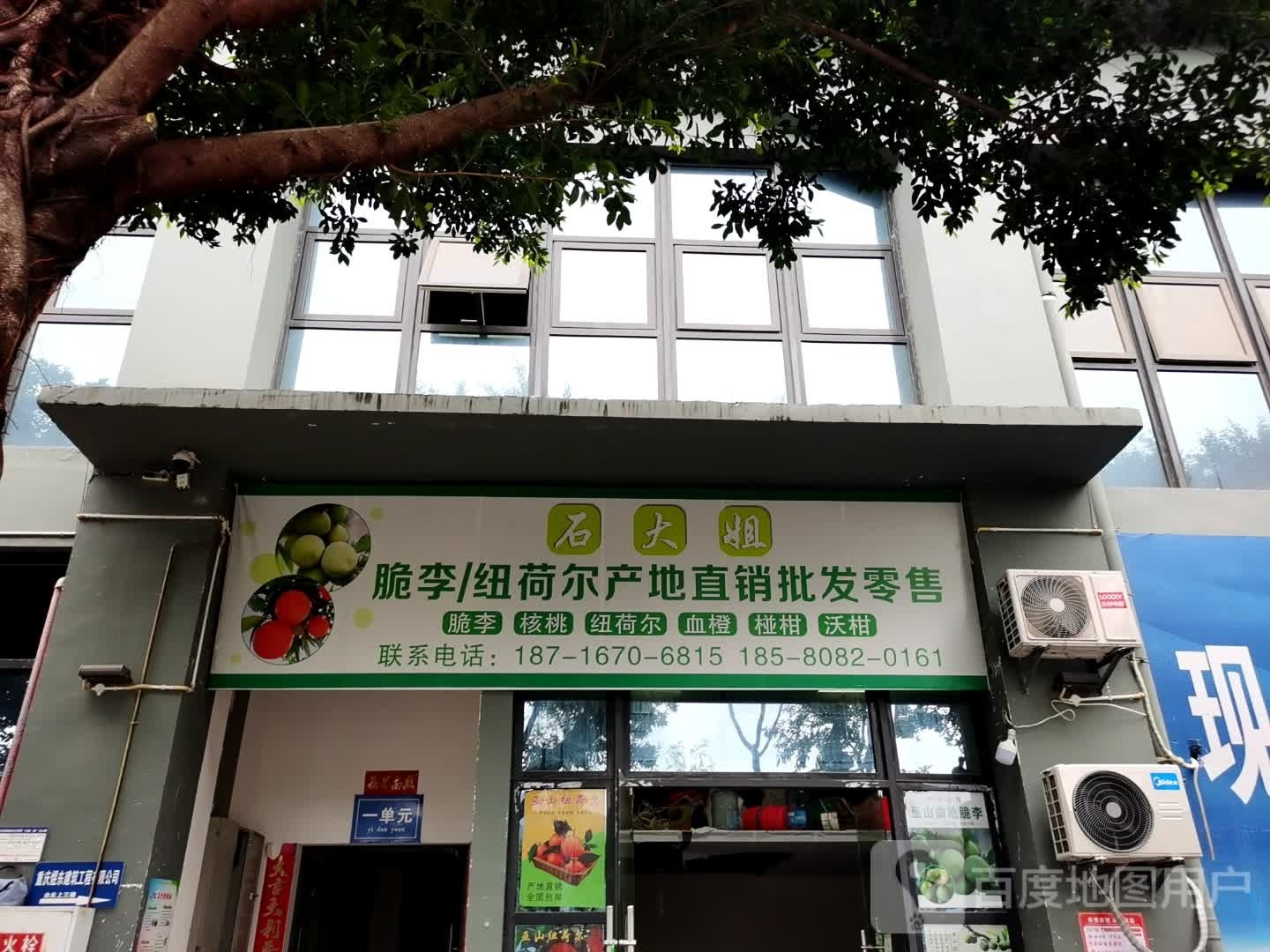 石大姐脆李/纽荷尔产地直销批发零售
