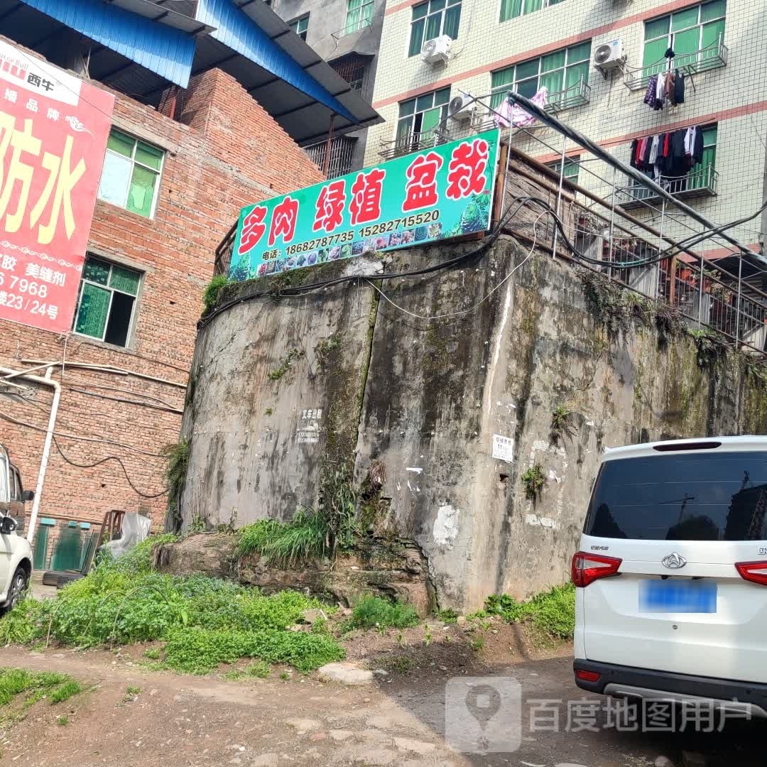 亏周技杠小多肉植物园