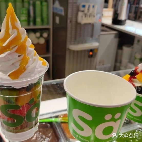 Salud撒露欧洲冻酸奶(回龙观店)
