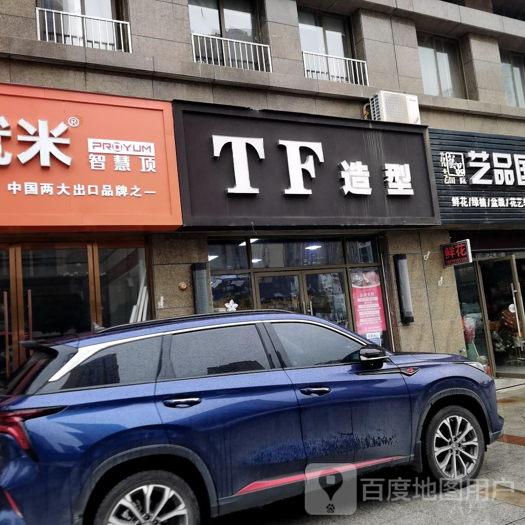 TF号造型