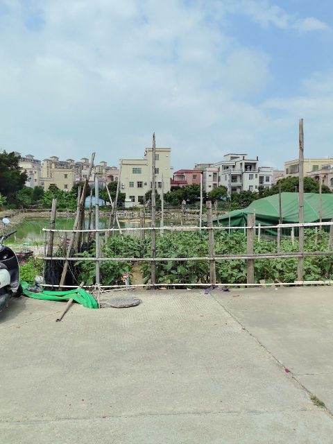 贴边阳光钓鱼场