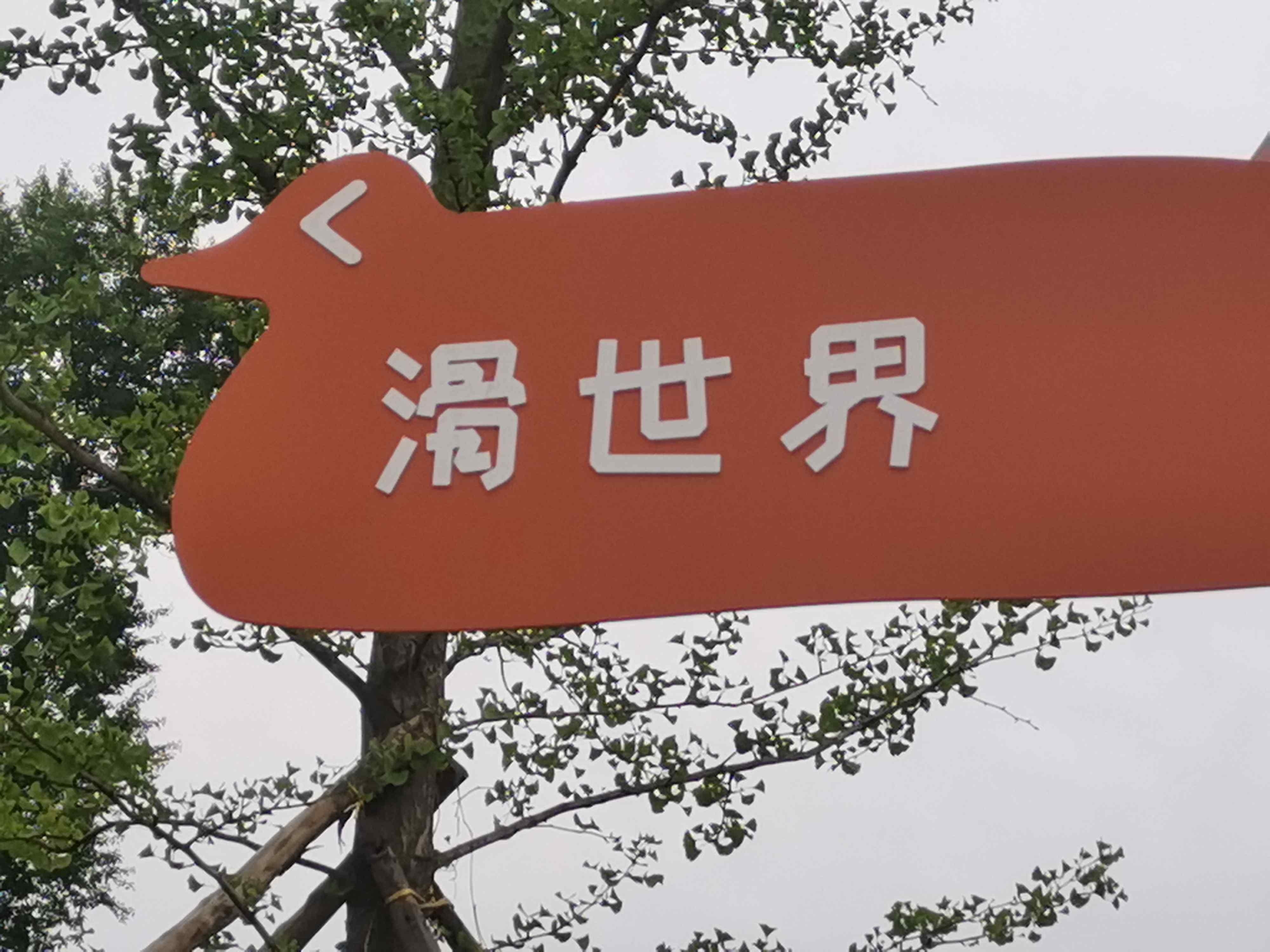 滑世界