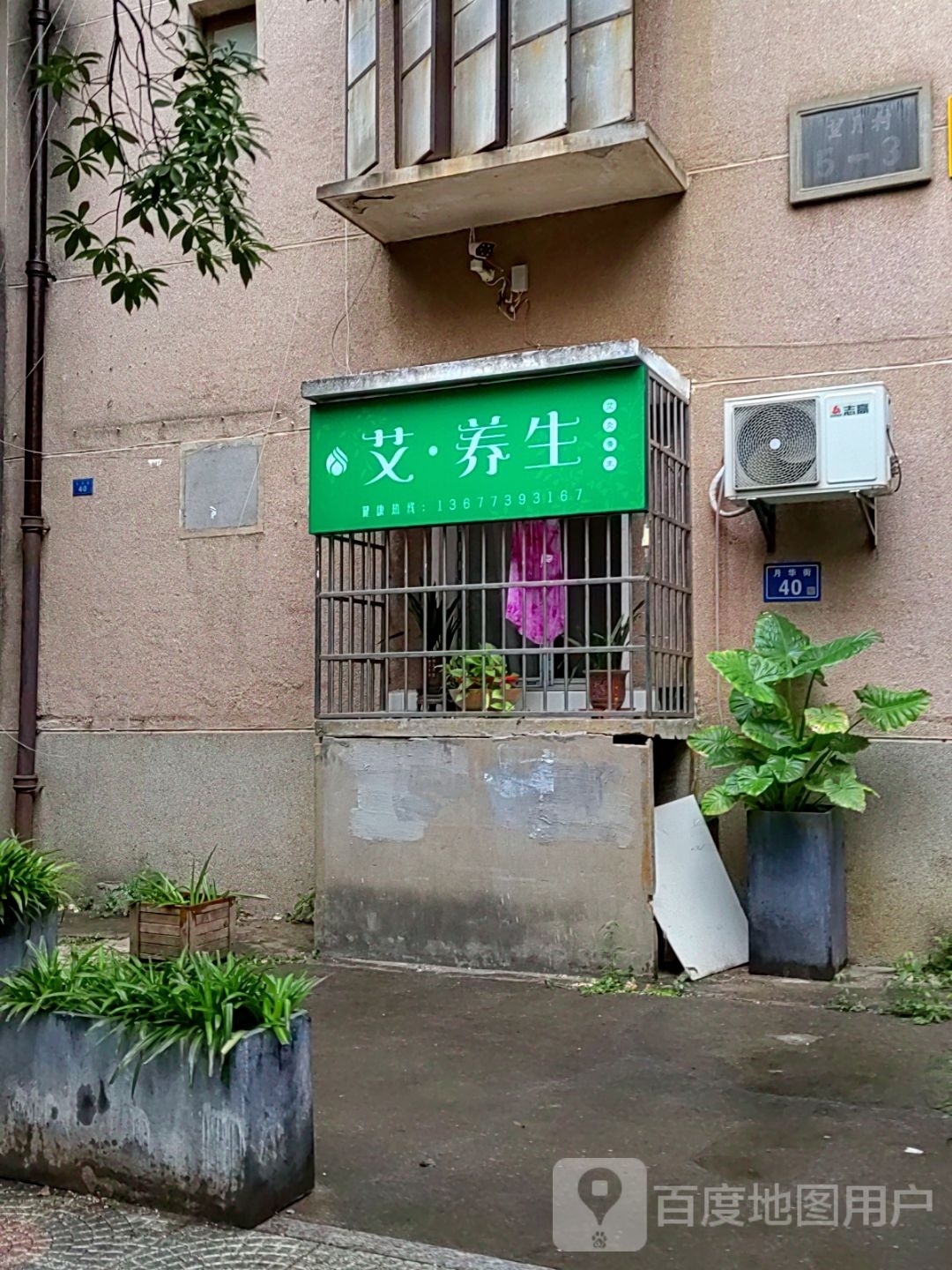 艾养生