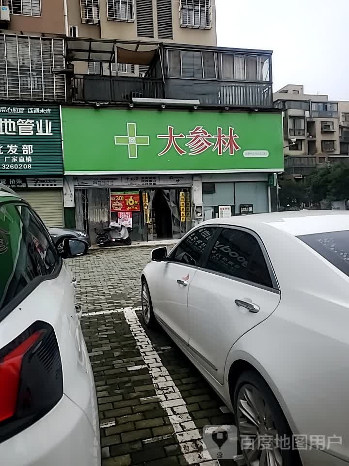 大参林连锁盛药店