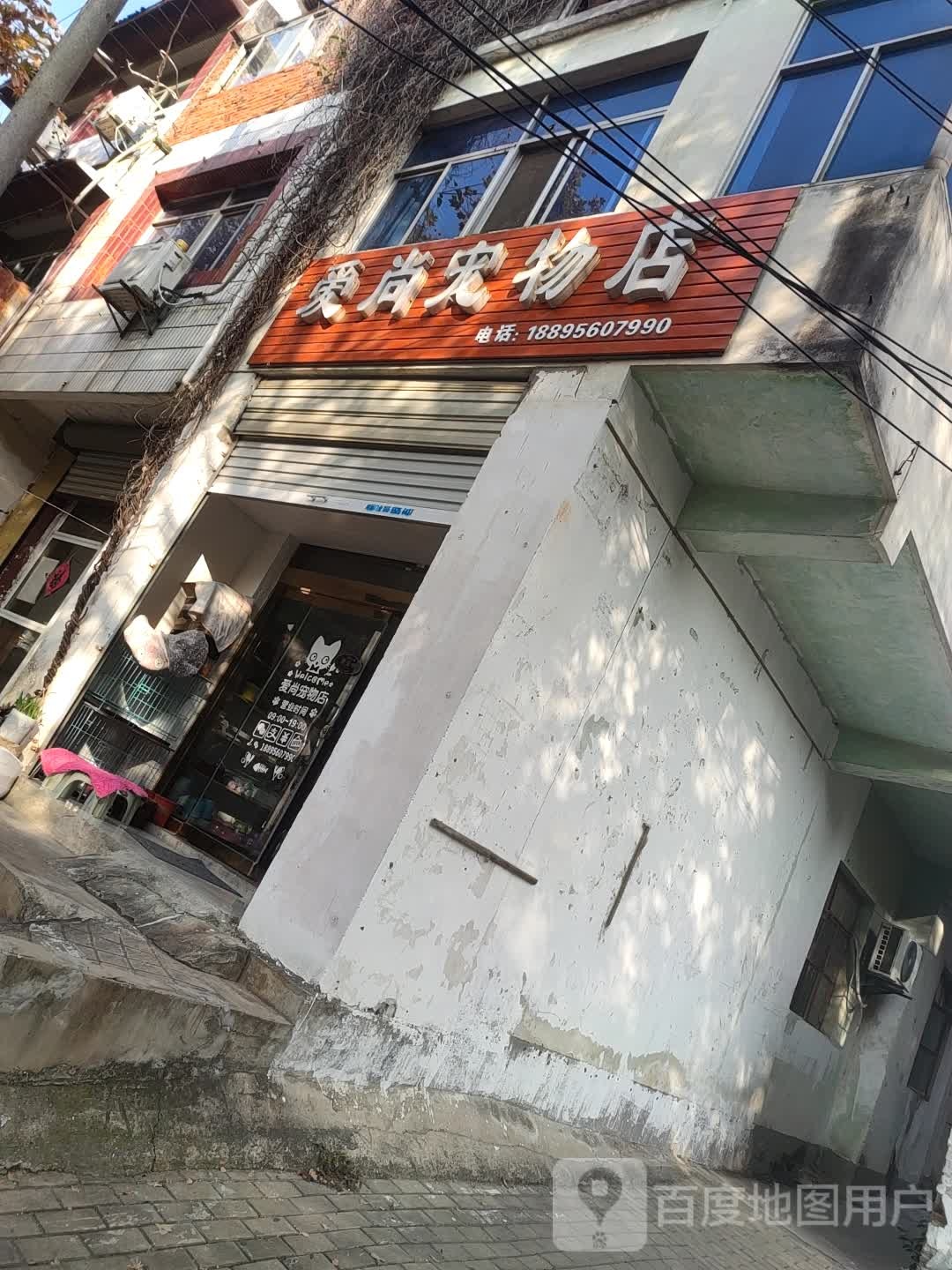 爱尚宠物店