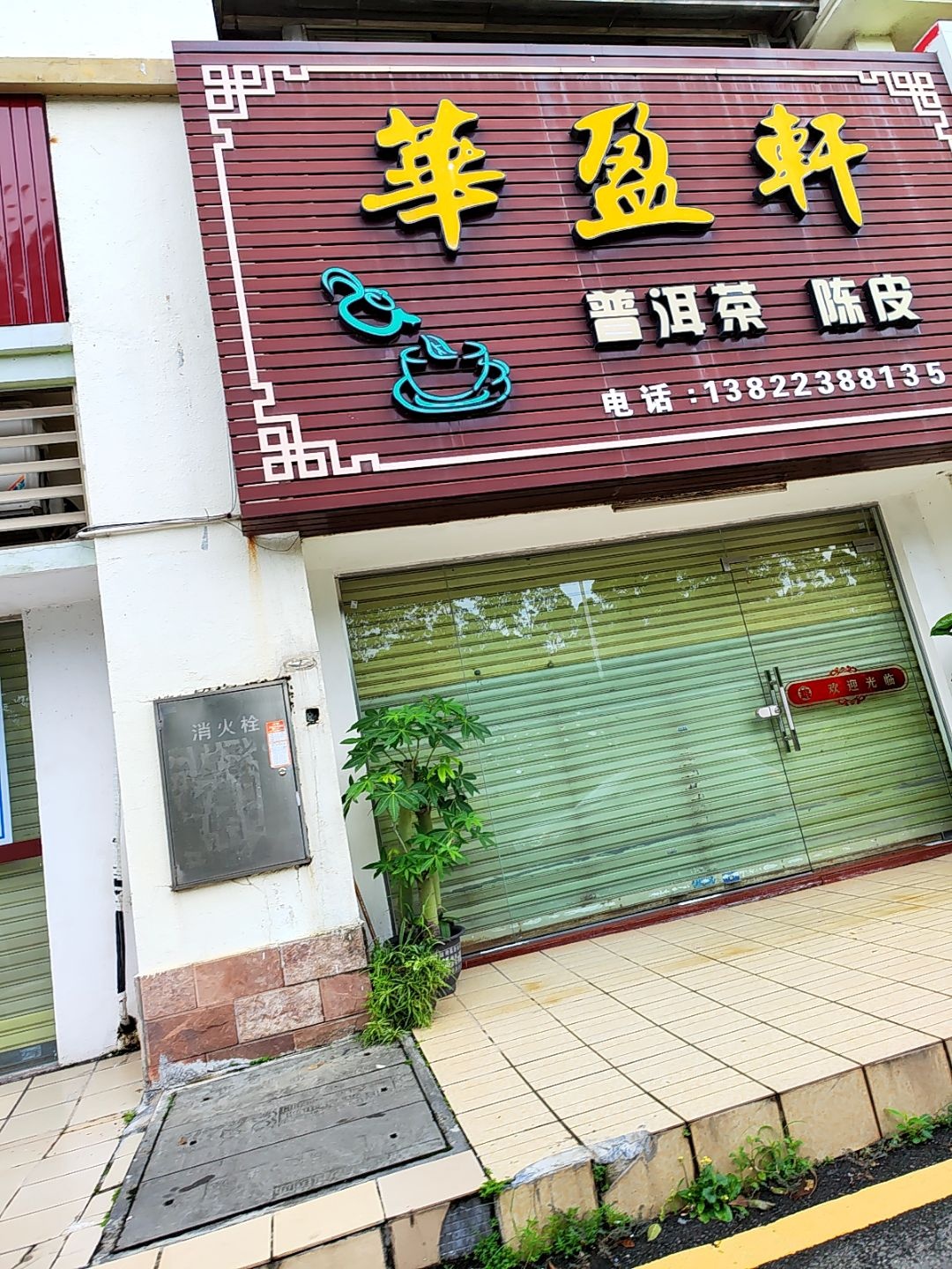 华盈轩普洱茶陈皮(新汇大融城店)