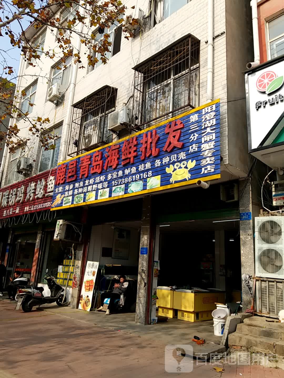 鹿邑县鹿邑青岛海鲜批发(第三分店)