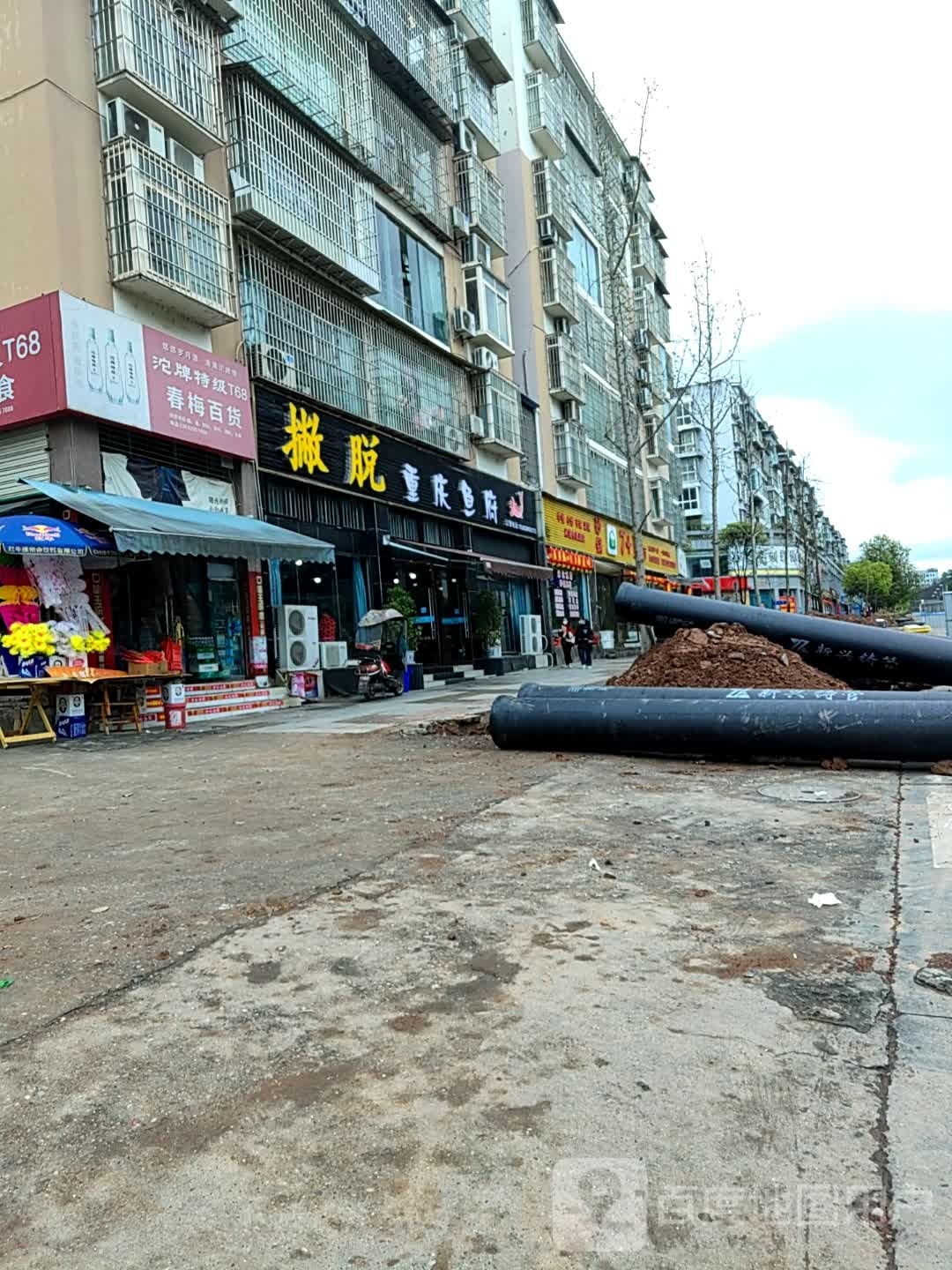 撇脱重庆鱼府