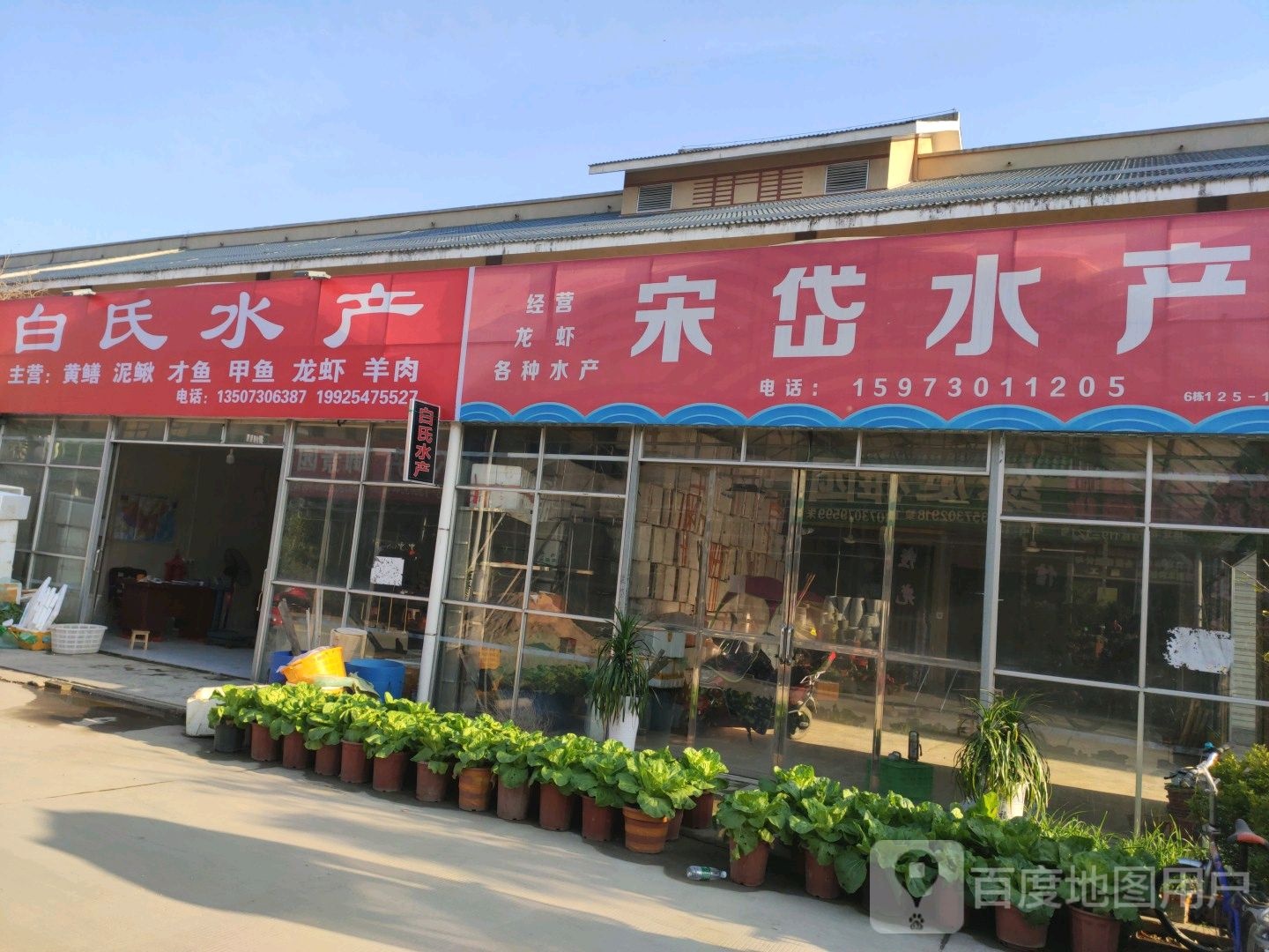 宋岱睡产