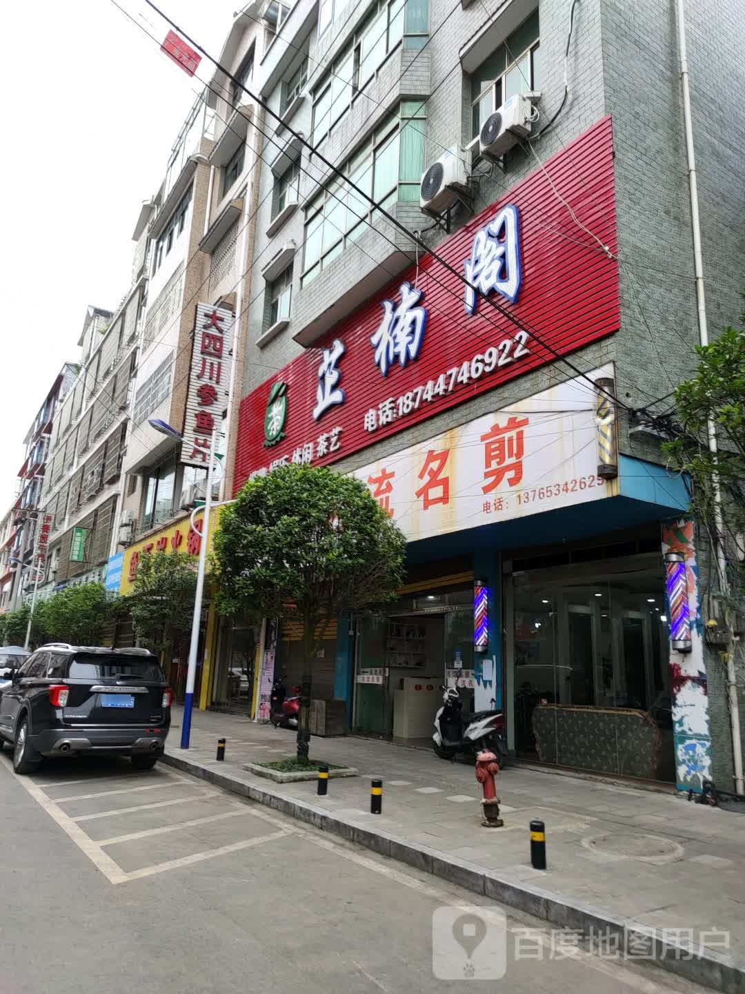 大四村参鱼片