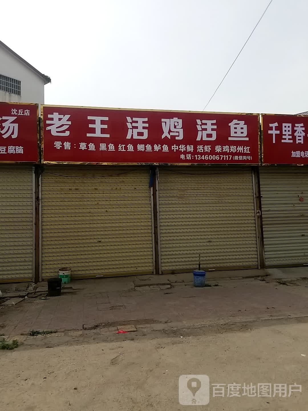 沈丘县活鸡活鱼(新华大道北段店)