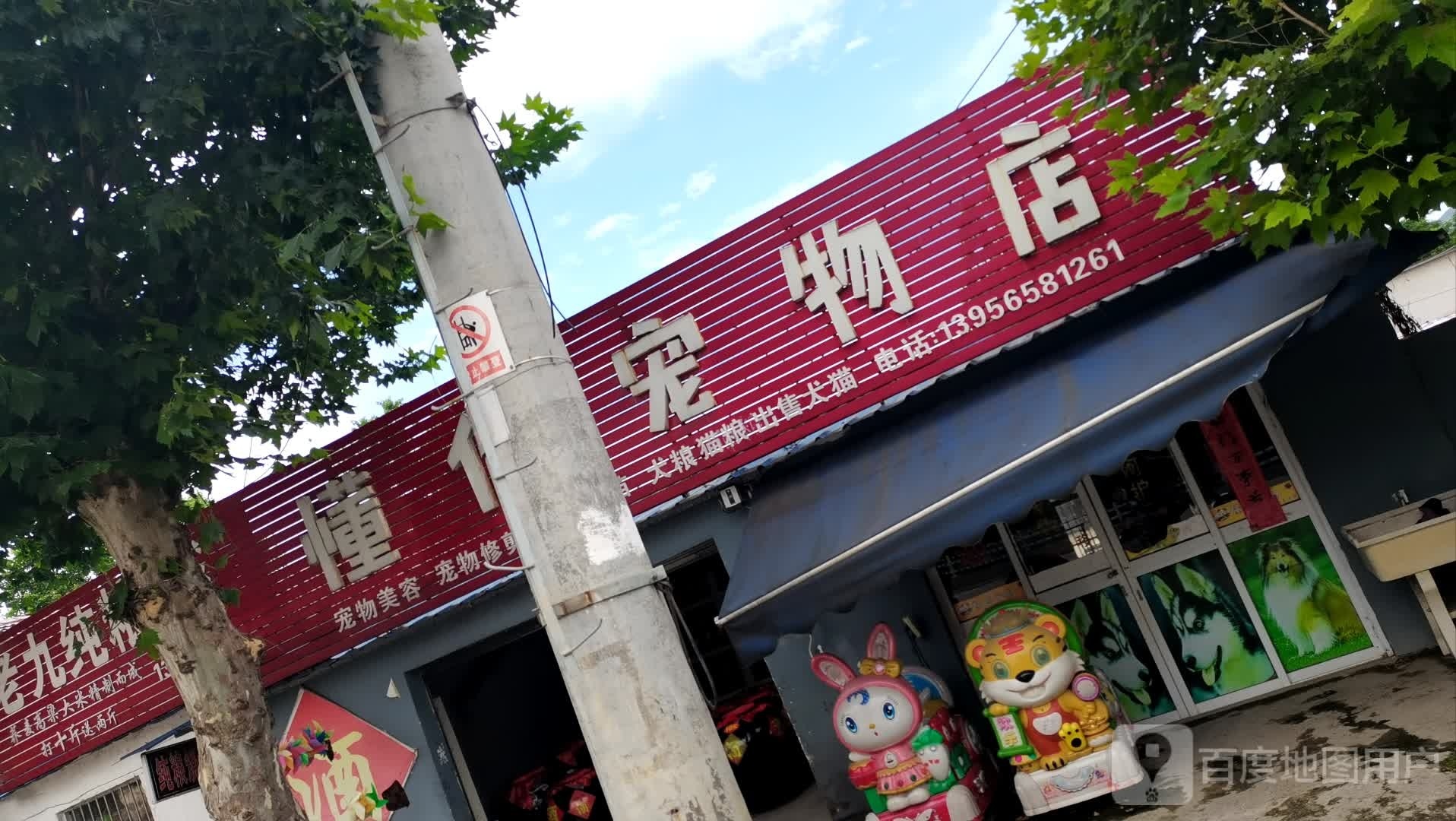 懂你宠物店