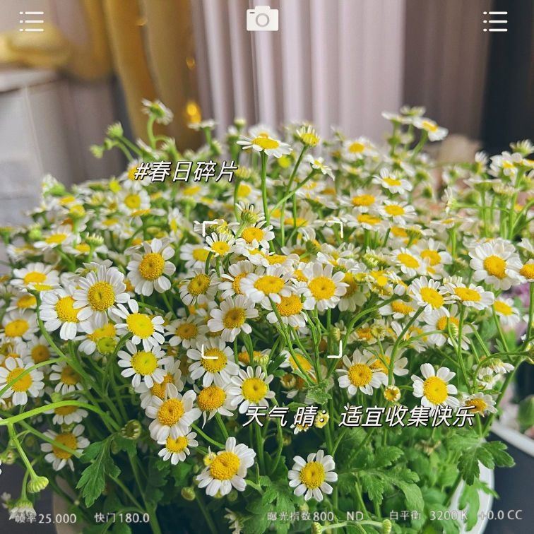 北村韩屋·韩式炸机(内江师范店)
