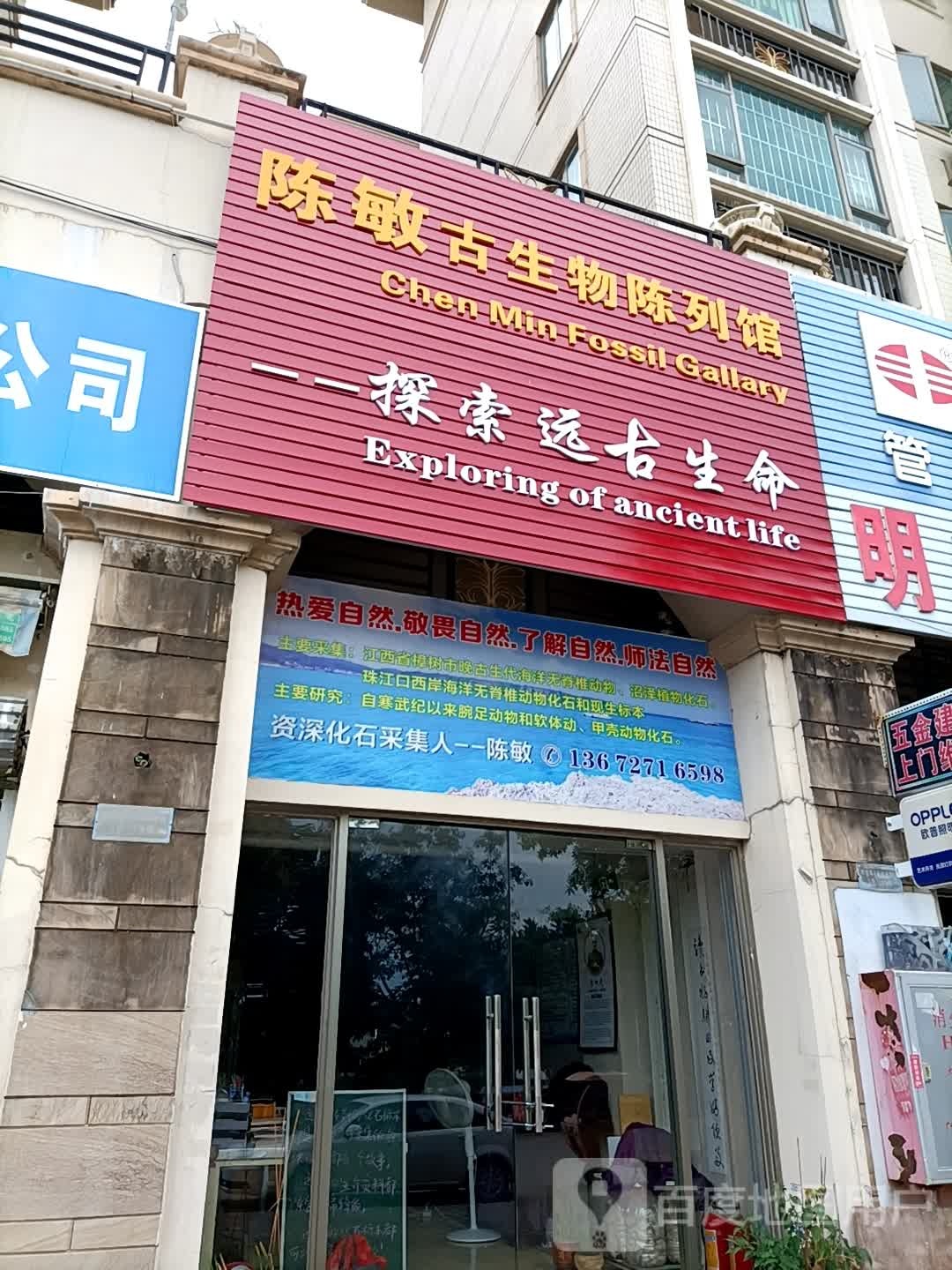 陈敏古生物陈列馆