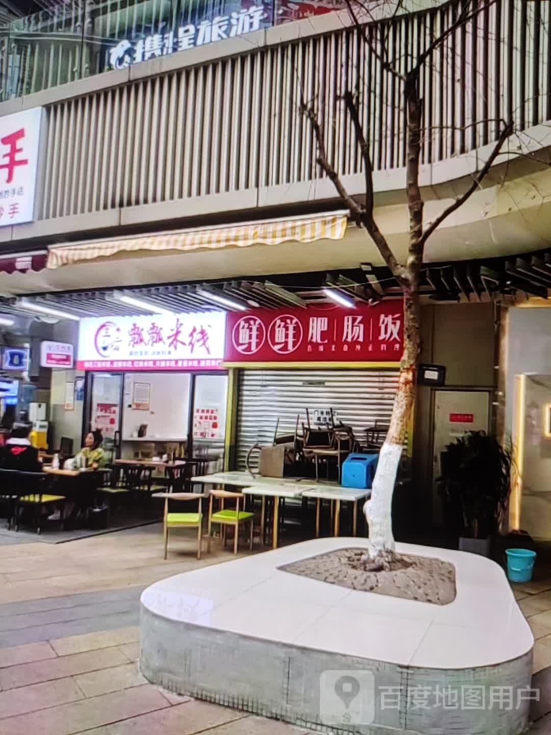 鲜鲜肥肠饭(那达慕大街店)