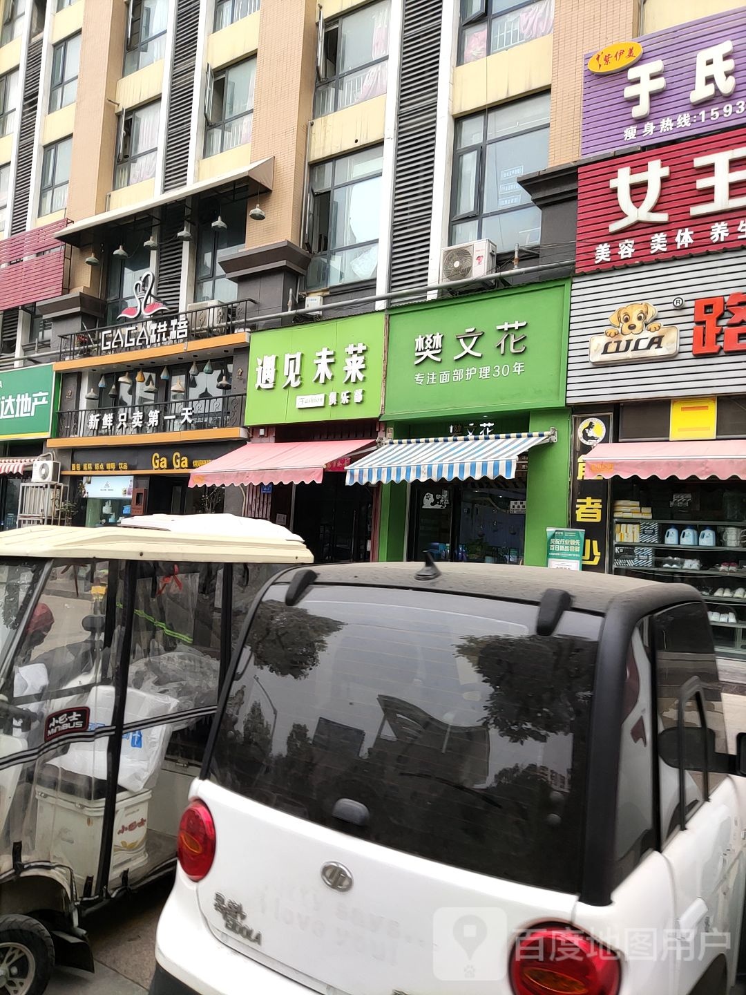 樊文花(驻马店文娱二路店)