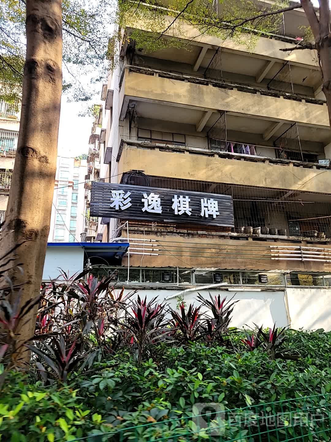 彩逸棋牌