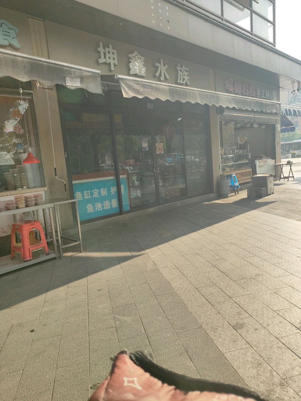 坤鑫水族(润江菜场店)