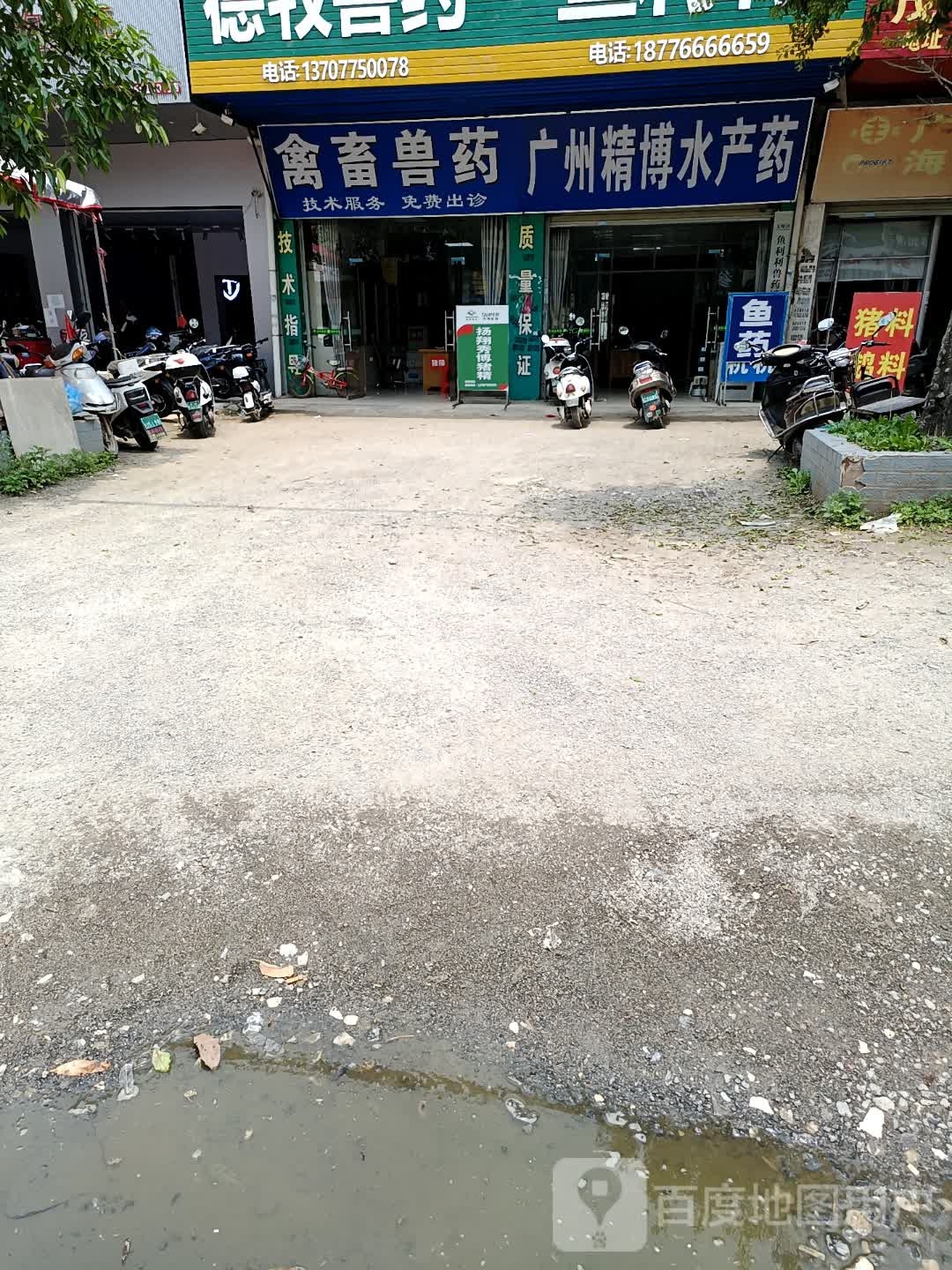 广州精博水产药