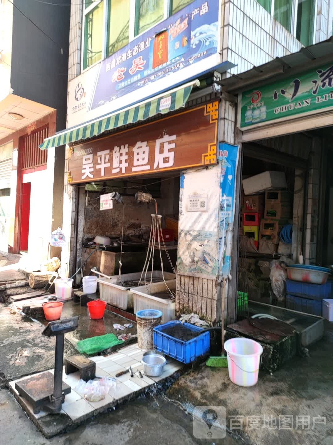 吴平鲜鱼店