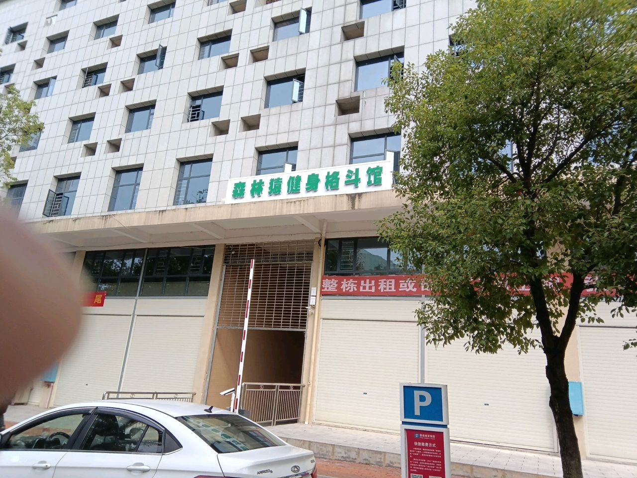 森林猿健身格斗馆