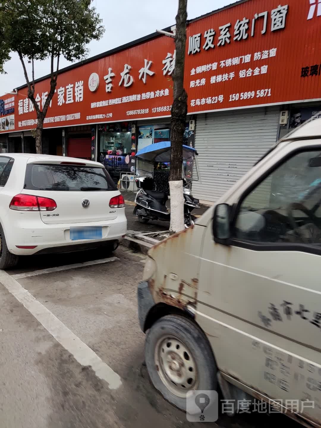 吉龙水族(柳市花鸟市场店)