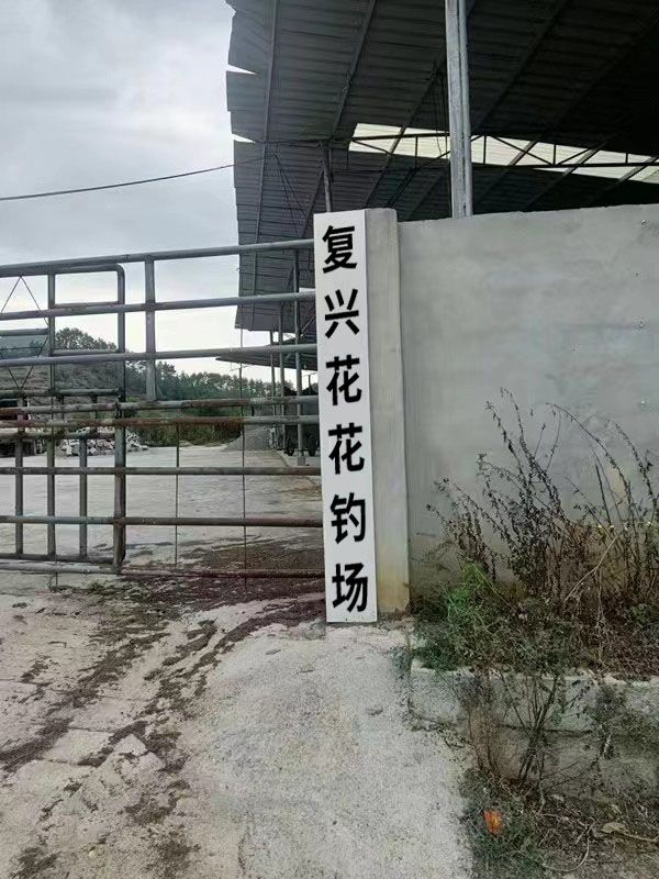复兴花花钓场