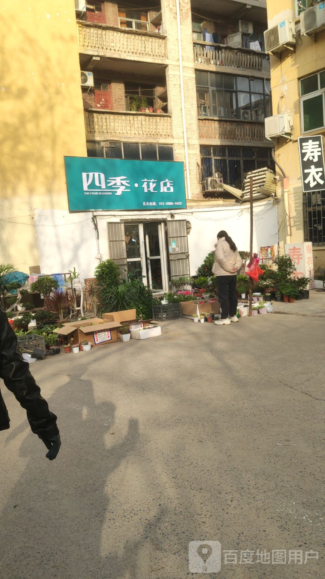 巩义市四季花店(通桥路店)