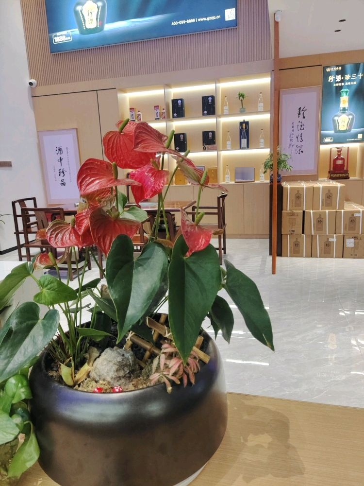 贵州珍酒(长沙总部基地店)