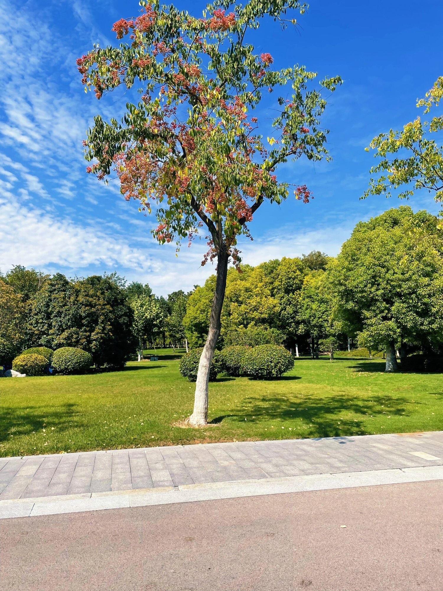 徐州大龙湖风景区