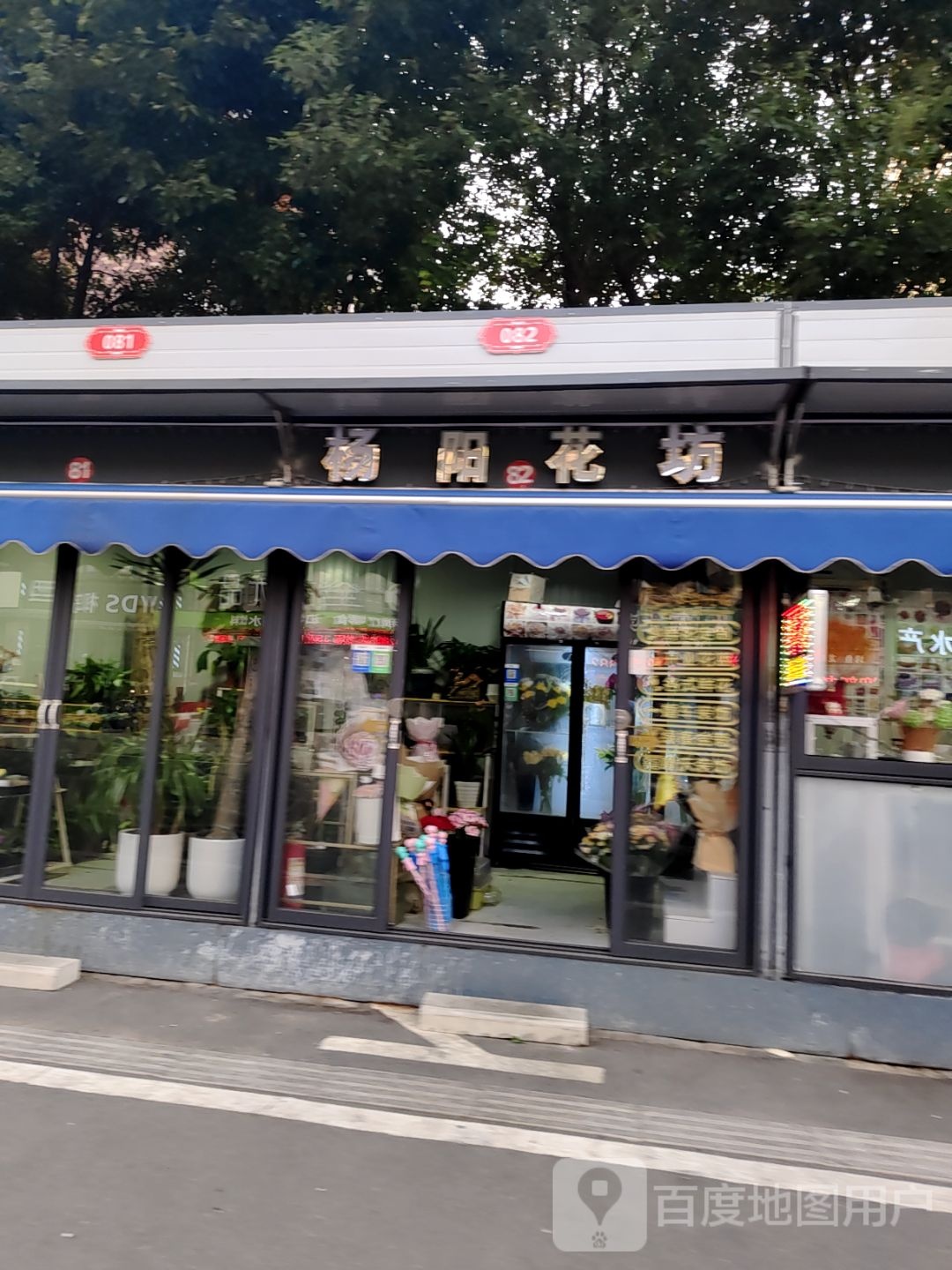 杨阳花坊