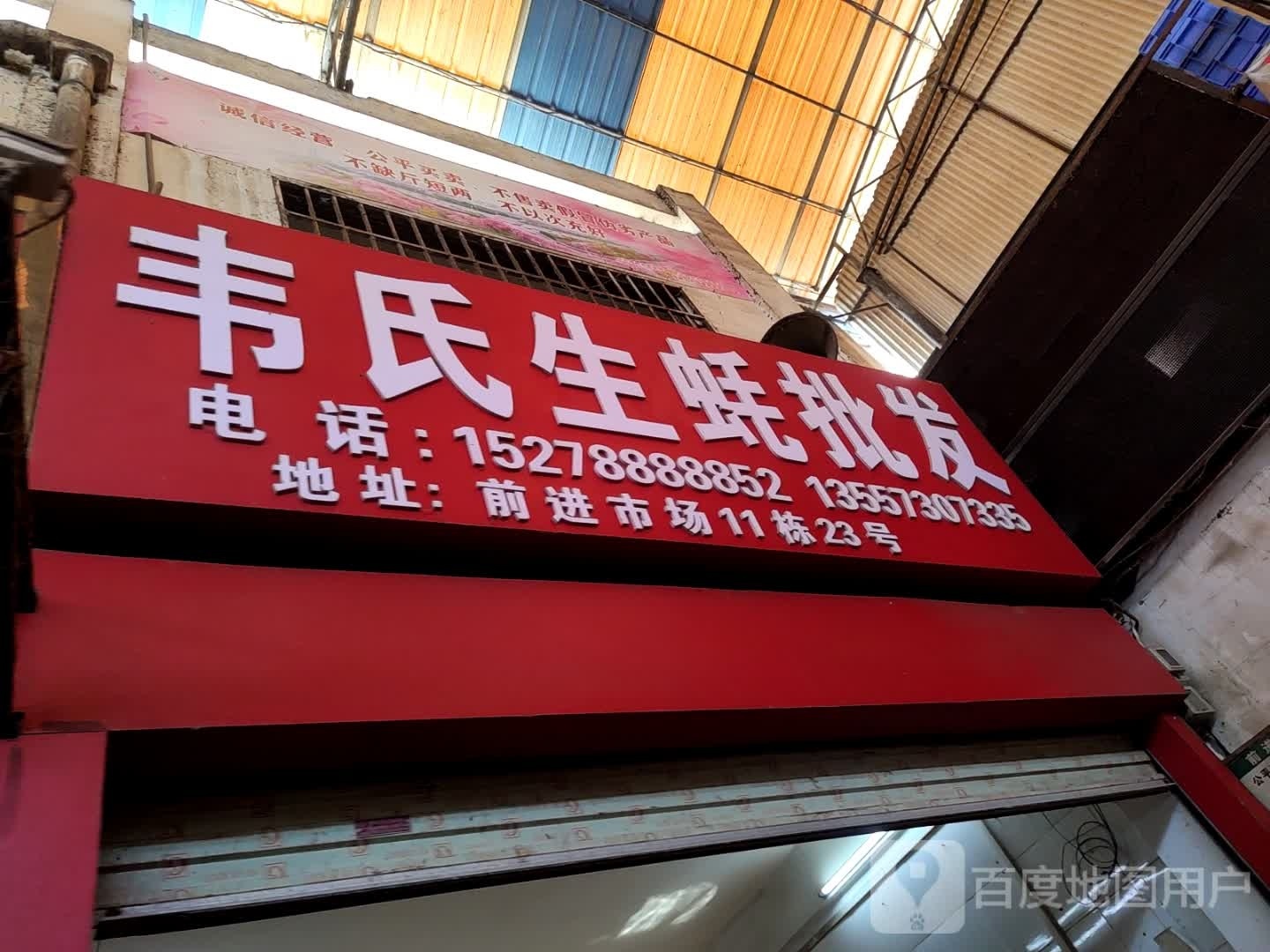 韦氏生蚝批发