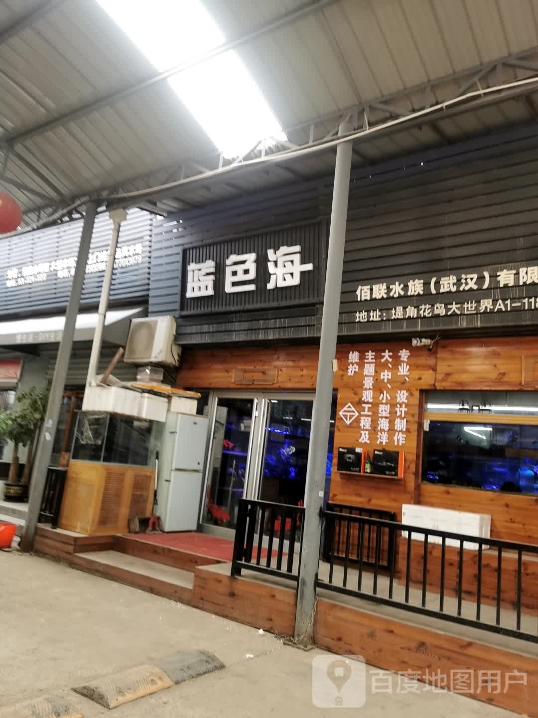蓝色海