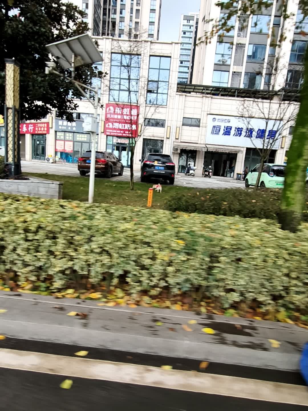 美帆体育恒温游泳健身
